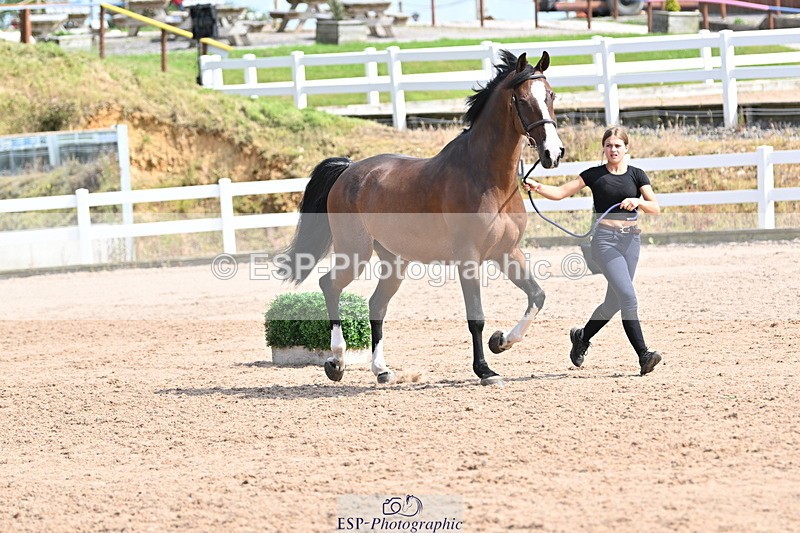 240717A-155601-03200 - Trot Up 3pm to 4pm