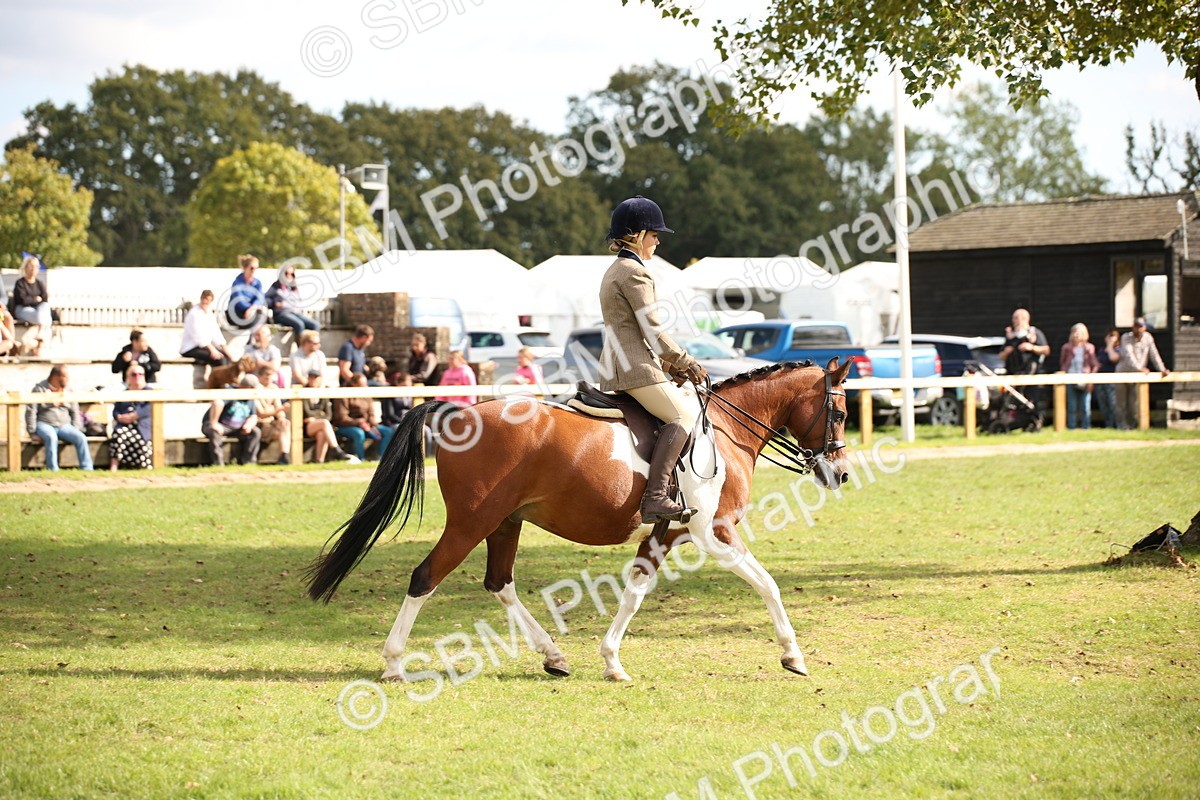 SBM_50038 - S26 - Young Veteran - Ridden