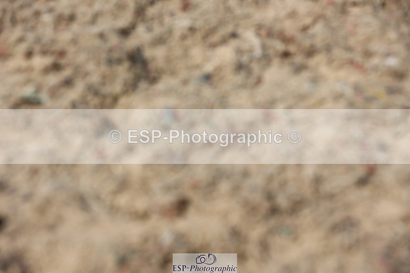 250620-154931-04826 - BD Cls 22 - FEI Grand Prix