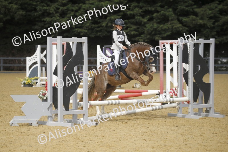 20250622-3622 - 50cm