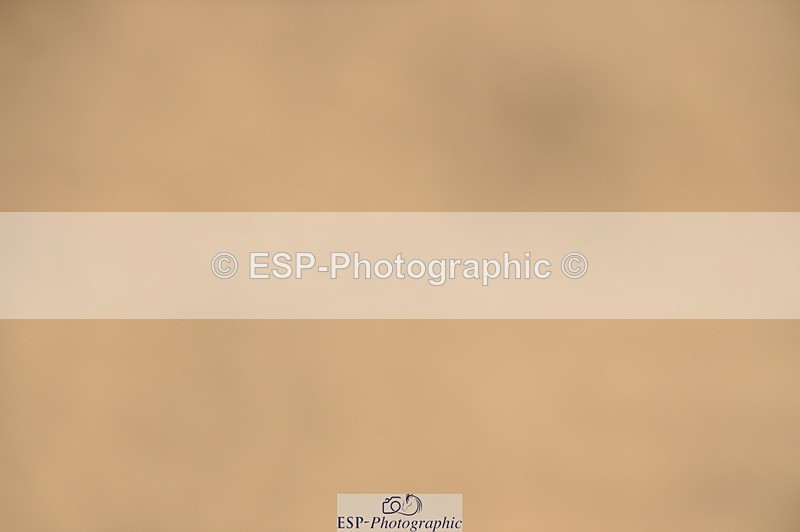 250622-094610-12845 - Quest Cls 19-24 Intro Tests