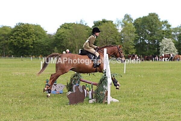 IMG_3001 - Working Hunter
