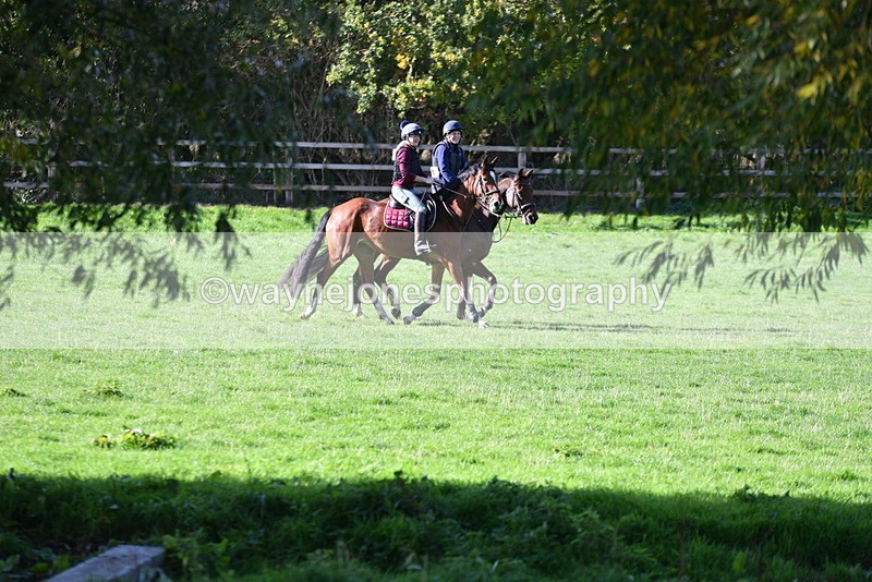 WJ5_7711 - Time 10:31 to 12:01