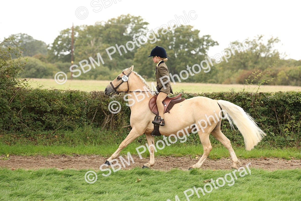 SBM_63017 - S64 - Foreign Breeds Ridden