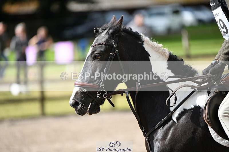 240825X-102505-30968 - 70cm SJ 9.15 to 10.21