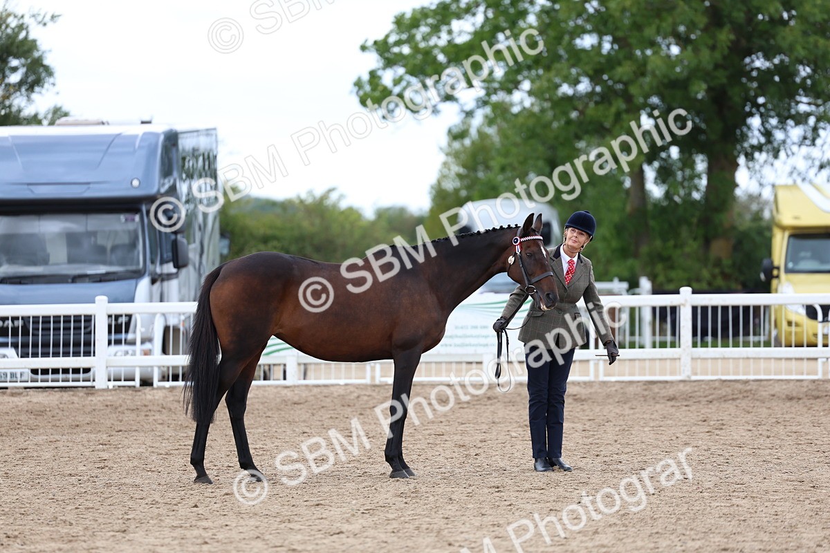 SBM_05036 - Class 27 - IH Competition Horse or Pony