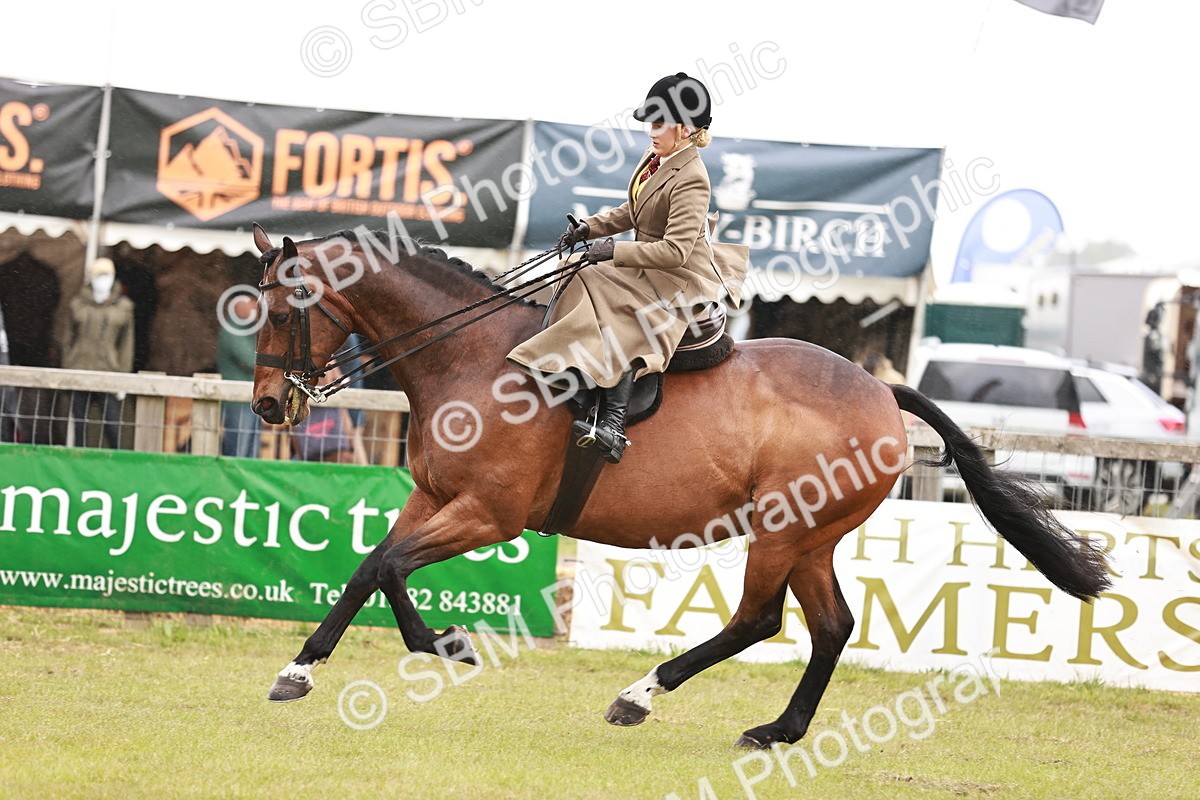 SBM_10994 - Class 81-84 - RIHS Ridden hunters Inc Ladies Hunter