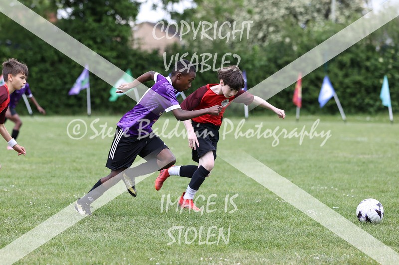 1DX31207 - Brook Field V Goddard Park