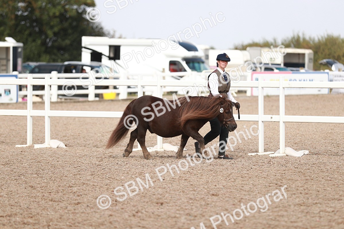 SBM_13819 - Class 209 IH Veteran Pony