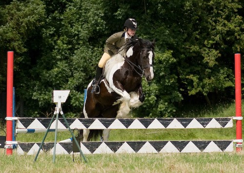 85 - Moniaive Horse Show 2008