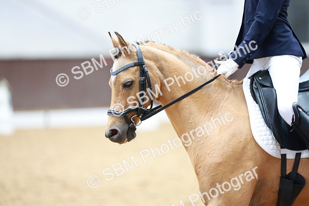 SBM_011486 - Prelim 5 - 13.05-14.01