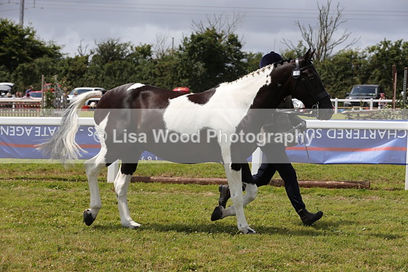 1X9A4731 - Class 35: Veteran In Hand
