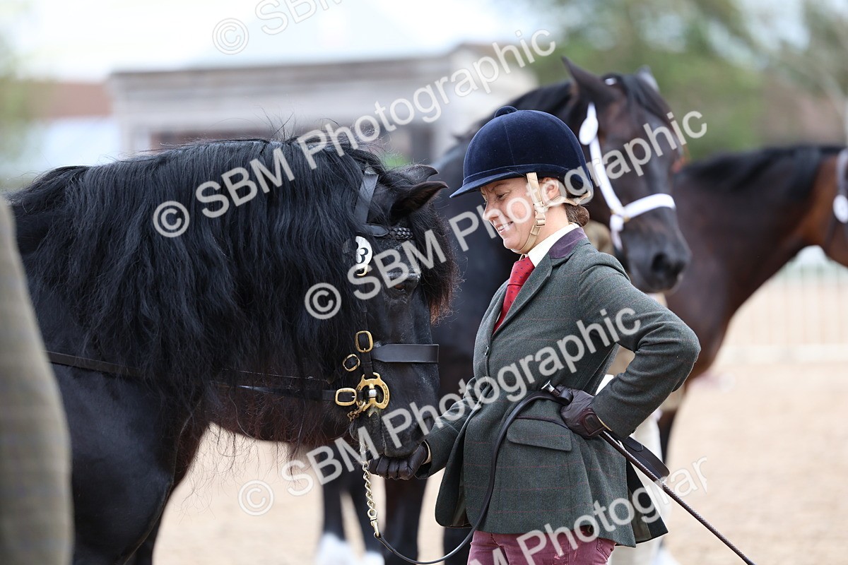 SBM_01285 - Class 16 - IH M&M Wildcard