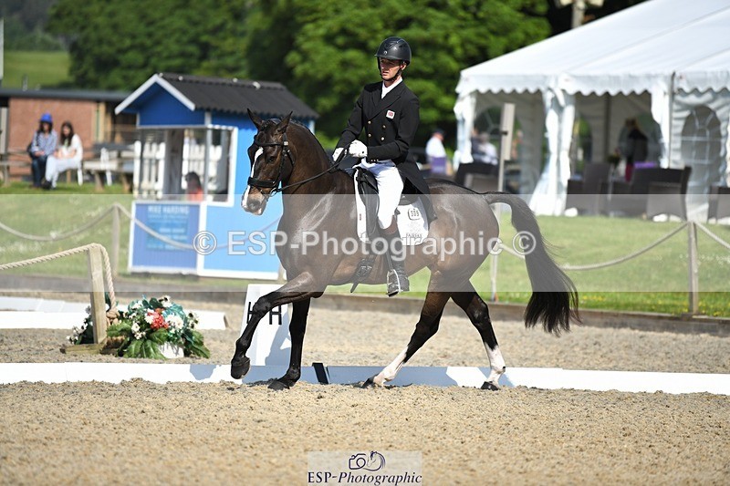 230525-094740-01664 - 309-PLOT_TWIST_B-Tom_Jackson-WEDTrotUp+DR