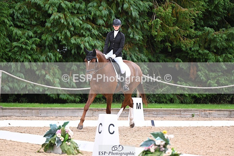 240809-121931-00742 - 185-Daisy.Hedges-Felicia.v