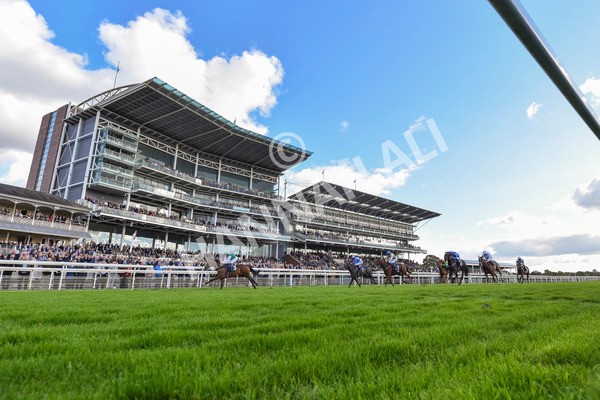 111024-Race 3-Minstrel Knight-7962 - Race 3 2.40pm William Hill Finale Handicap