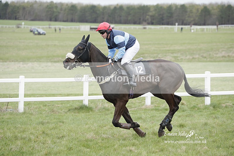 PtP 260323 0481 - New Forest Hounds Point-to-Point Larkhill 26/03/23