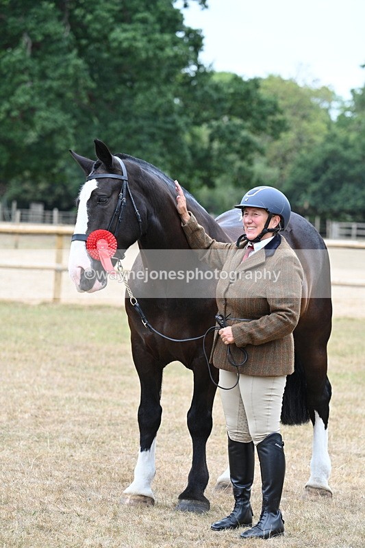WJ7_0159 - Class 5a Most Handsome Gelding (above 14.2hh)