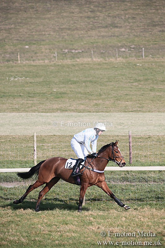 PtP 230219 253 - Vine & Craven Point-To-Point - Barbury 23/02/19