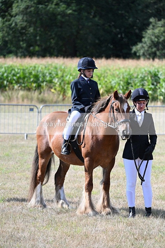 WJ7_2725 - Class 8 Ridden Tack & Turnout