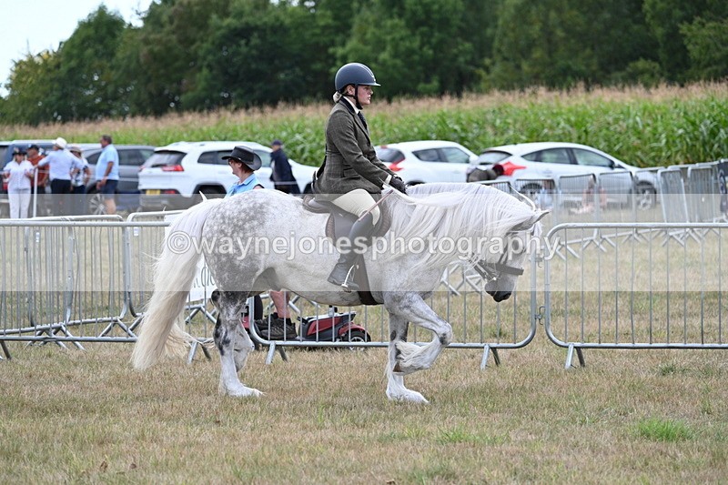 WJ7_5254 - Class 12 Ridden Cob