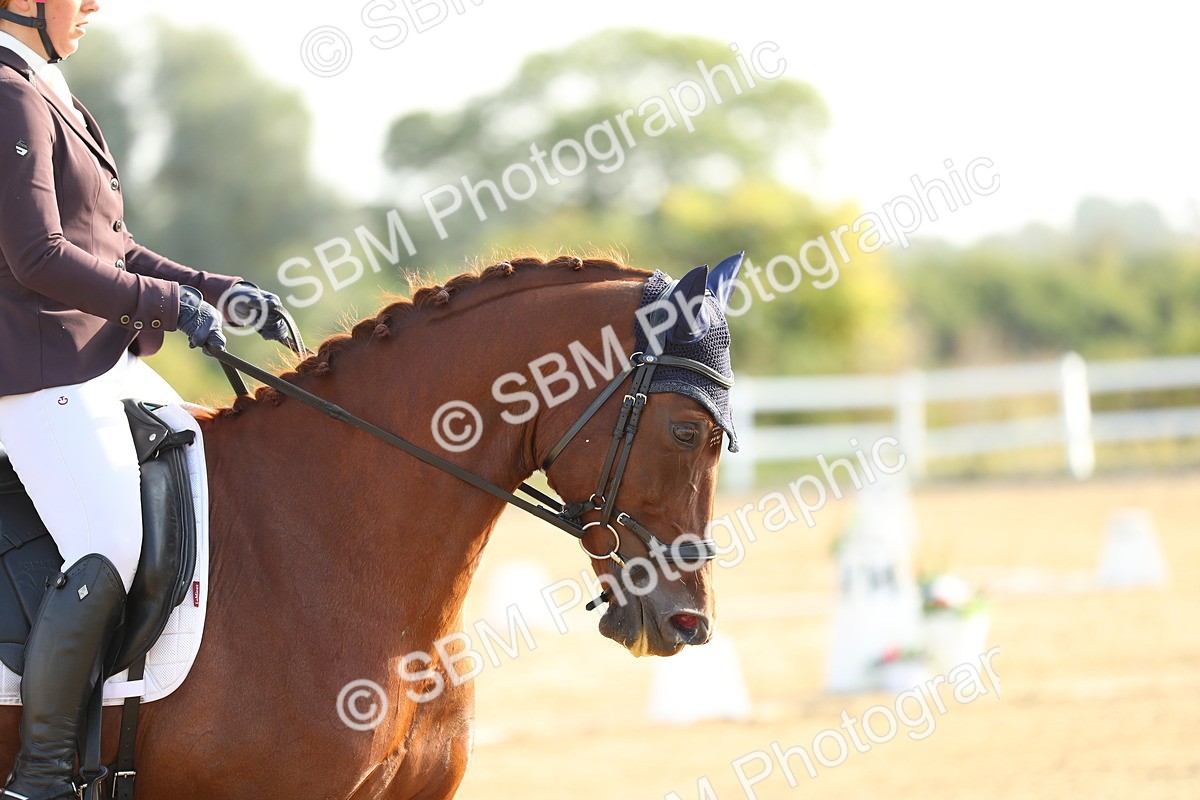 SBM_014978 - Class 13 - Novice 23 - 8,30-9.33