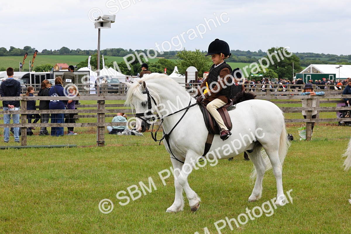 SBM_08859 - Class 42-43 - LIHS BSPS Heritage Working Sports Pony