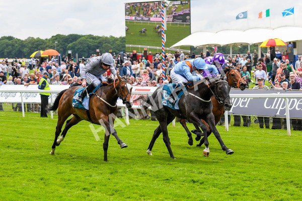 190523-Race 1-Got To Love A Grey-0167 - Race 1 1.50pm Clipper EBF Marygate Fillies' Stakes