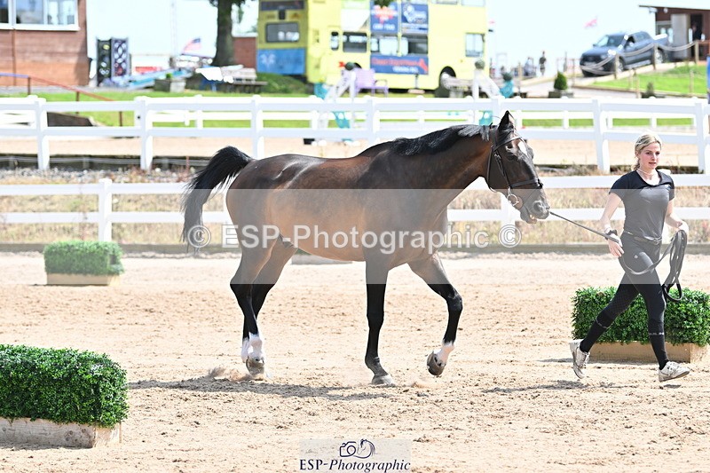 240717A-145239-02363 - Trot Up 2pm to 3pm - This folder is not in time order