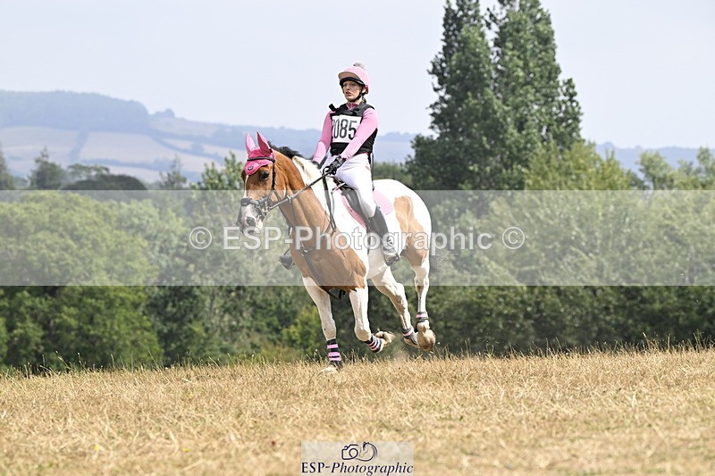 250824A-130611-36775 - 2010-Freya.Hallam-Deakin-Tommy