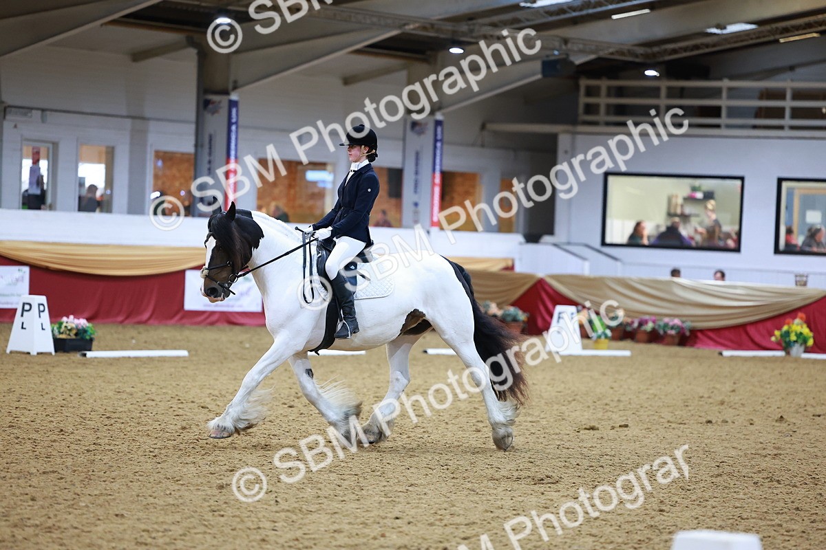 SBM_06618 - Class 61 - Dressage to Music