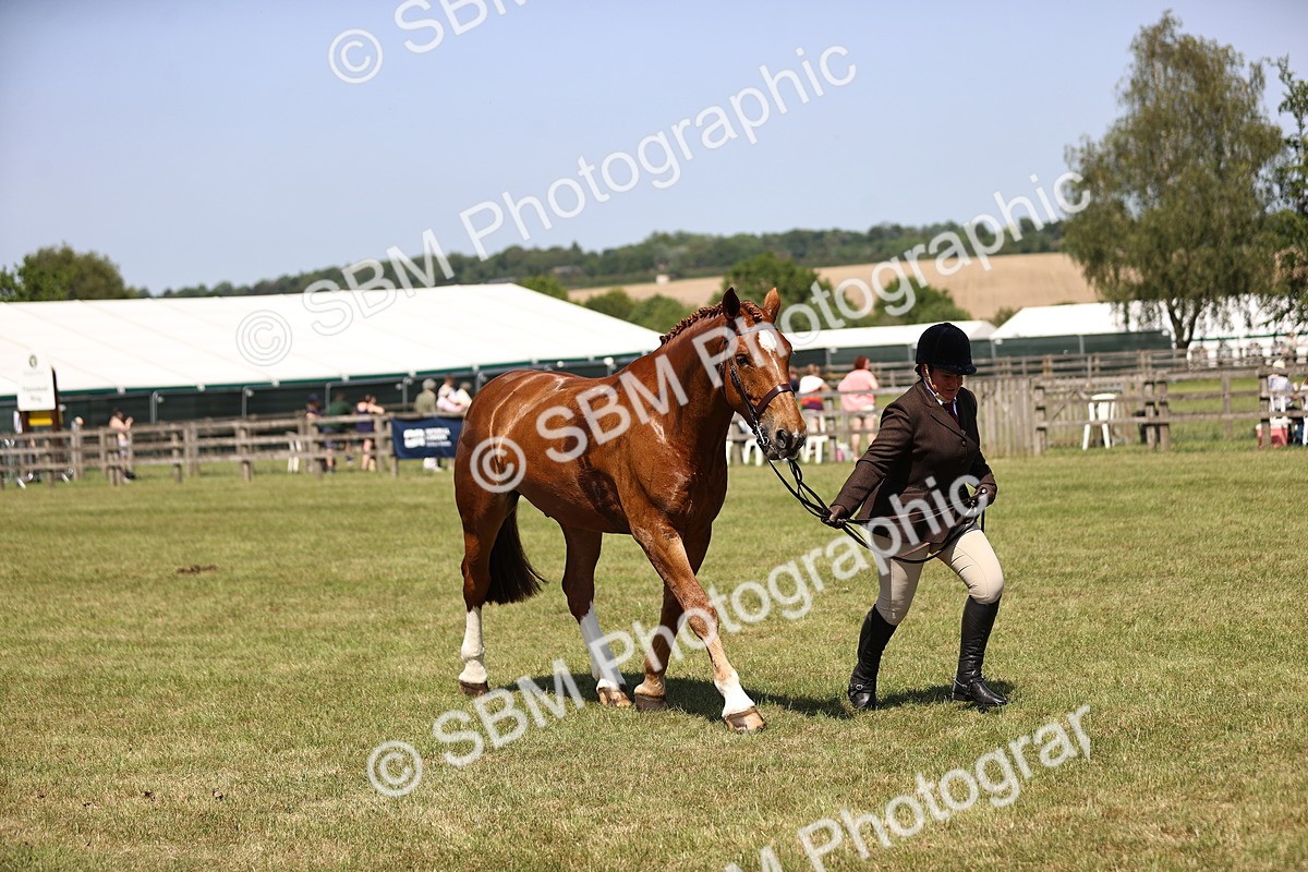 SBM_17774 - Class 81-83 - TSR Ridden Amateur of the Year - Horses