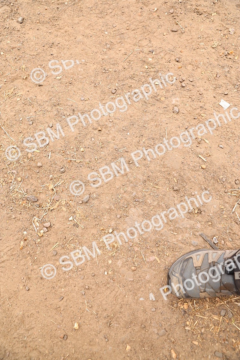 SBM_007386 - Presentations - 26-8-25