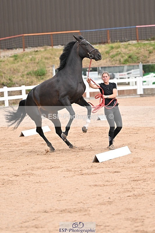 250716-151413-01802 - Trot Up 2.30 to 3.30