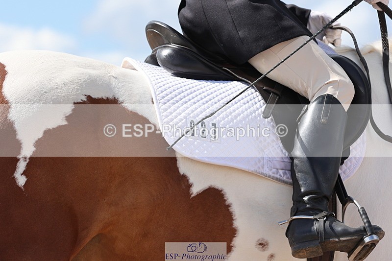 240706A-161013-04343 - Cls 9 RT Novice 27