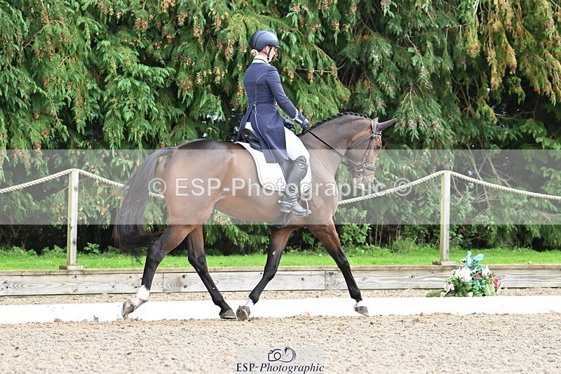 231019-143417-04547 - 125-KINDA.CORVETTE-Dani.Evans-DR