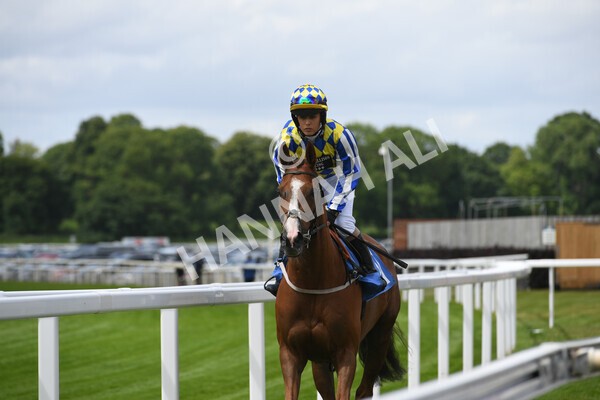 yr11062022r2-3 - Race 2 2.00pm Queen Mother's Cup