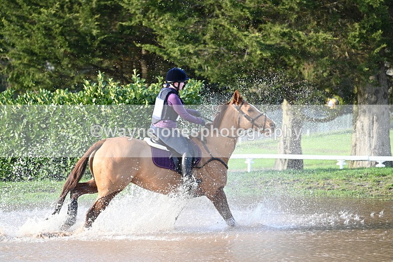 WJ7_0217 - Time 11:49 to 12:09