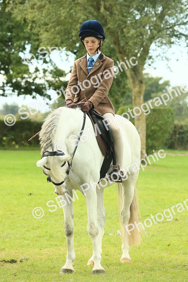 SBM_69982 - S59 - Mountain & Moorland Ridden Small Breeds
