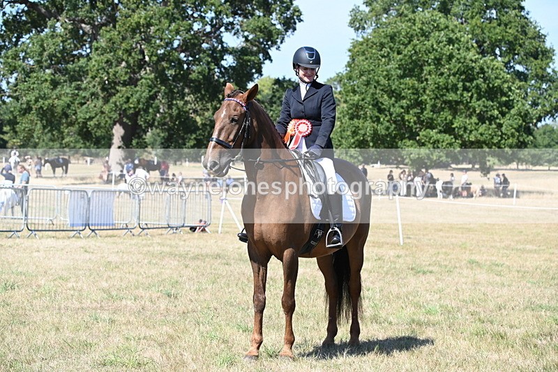 WJ6_9054 - Class 38 Ridden Riding Horse/Pony
