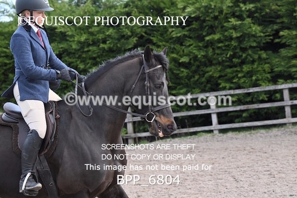 BPP_6804 - RING 1  (RIDDEN HORSES / IN HAND / VETERAN ETC)