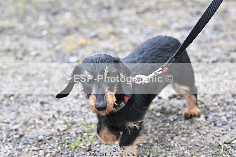 241206-144234-01131 - Naomi