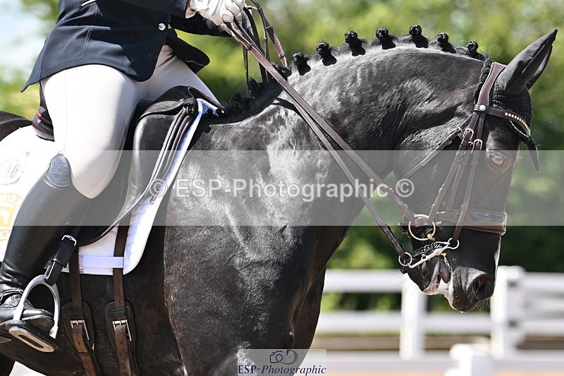 240621A-135121-03789 - Cls 11 BD Medium 73