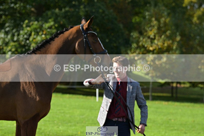 241023-130048-00016 - 013-Cameron.Beer-GREENLANES.LE.BAMBALOU