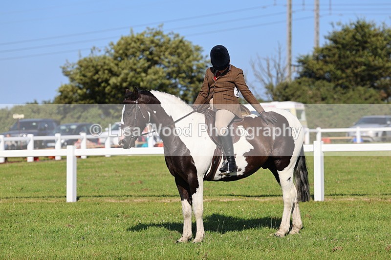 IMG_1392 - Class 28: Ridden Plaited Coloured Pony