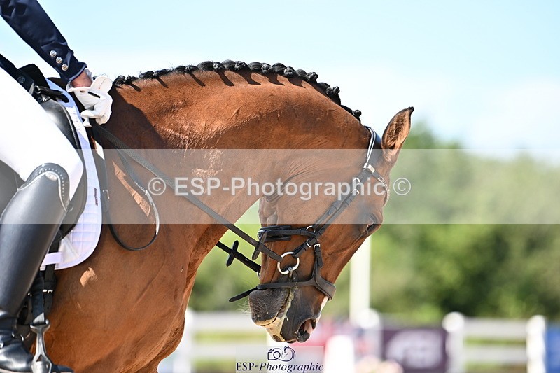 240816A-143247-05432 - 222-Miranda.Cooke-Bon.Amico