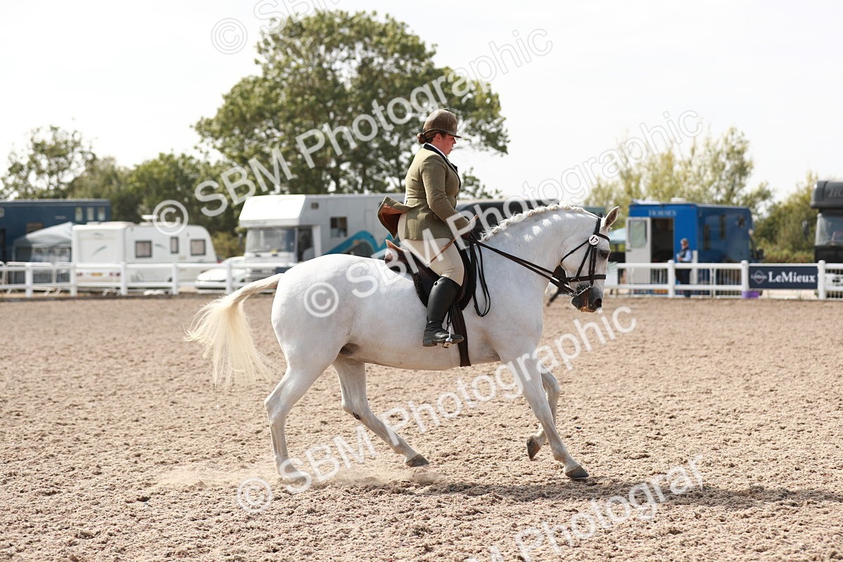 SBM_14849 - Class 212 Ridden Hunter - Small