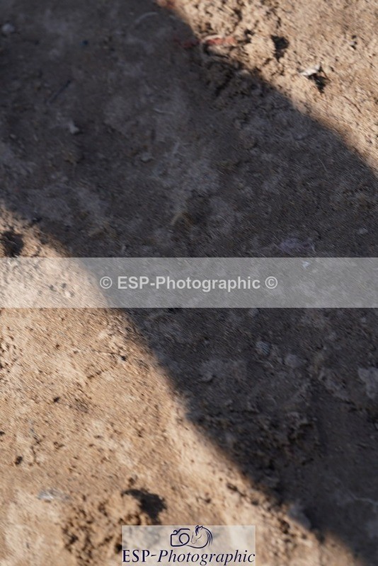 240728-092124-01209 - PC70, Round 1