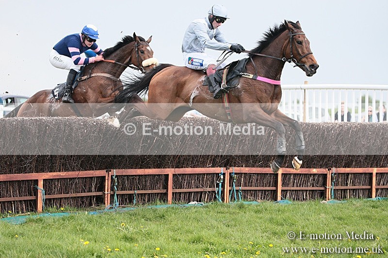 PtP 210418 366 - South & West Wilts Point-to-Point Larkhill 21/04/18