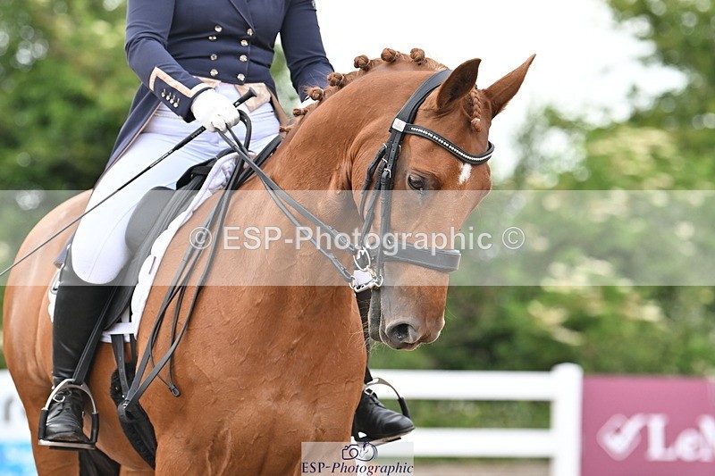 240621A-182837-06259 - Cls 17 BD FEI PSG